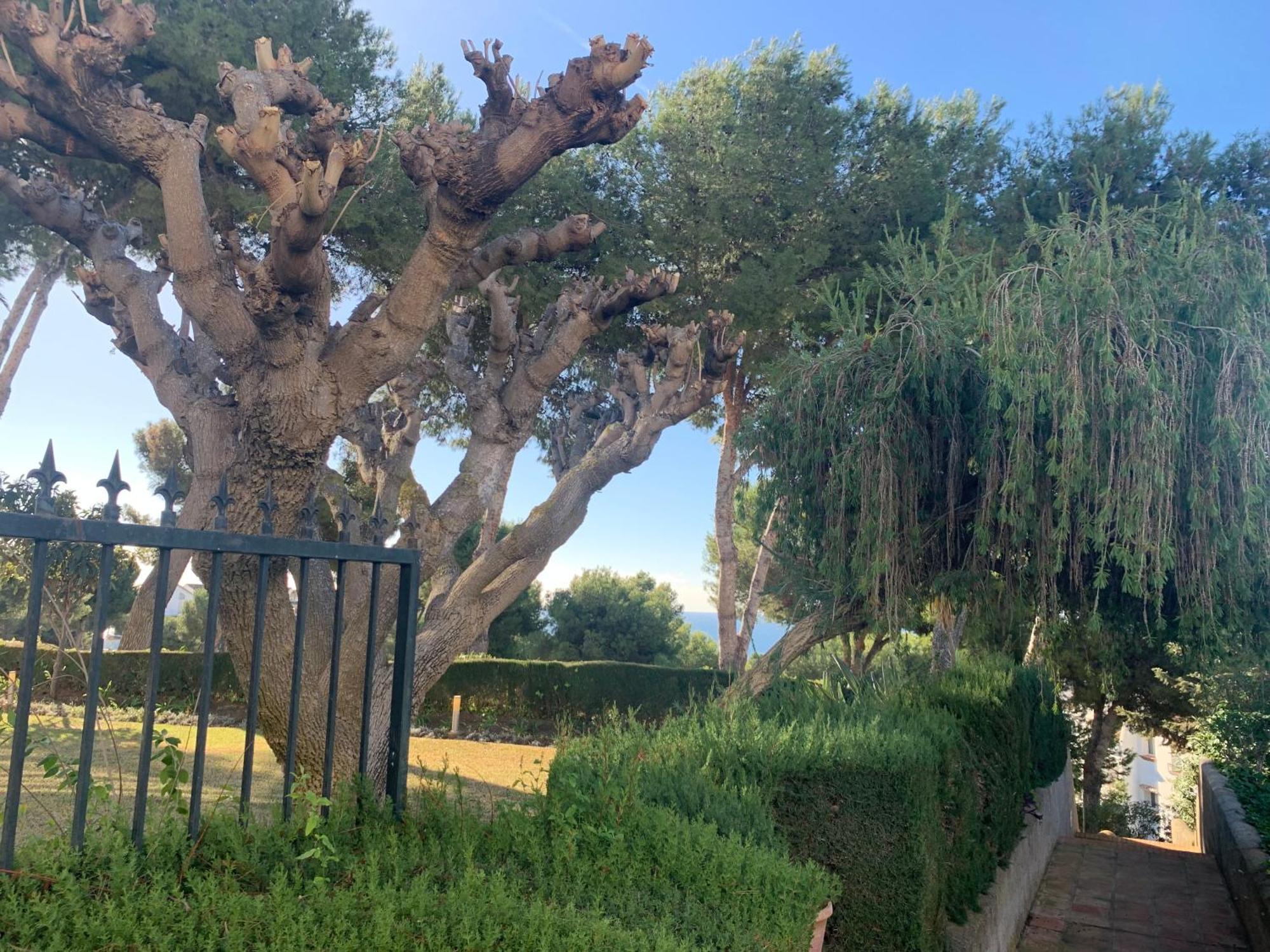 شقة Jardin Miraflores لا كالا ذي ميخاس المظهر الخارجي الصورة